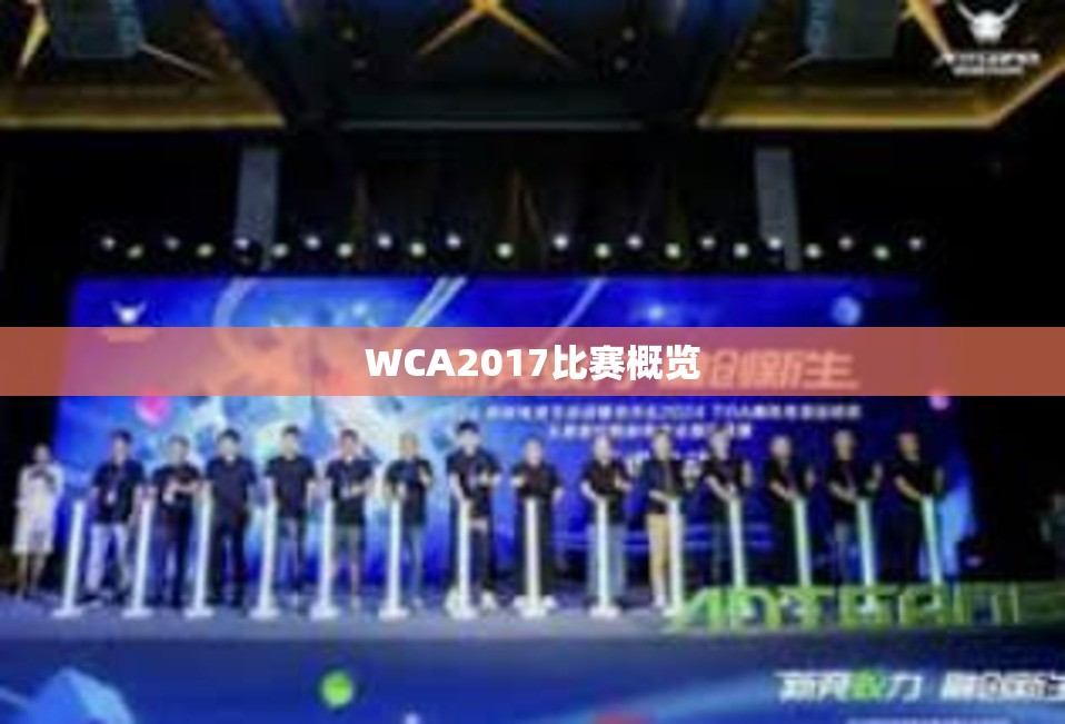 WCA2017比赛概览